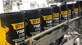 נירלט
